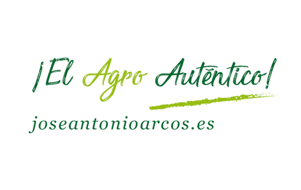 La primera manzana con forma de rosco de chocolate